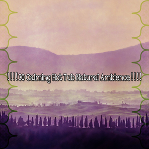 提升到更高的存在