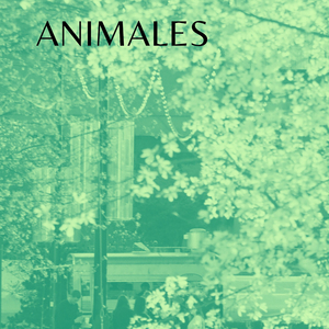 Animales