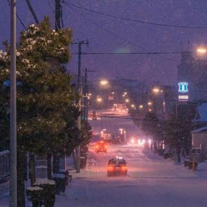 ¿Téo?-我的未来（NE-zro remix）