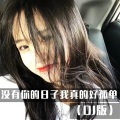没有你的日子我真的好孤单 (DJ版)