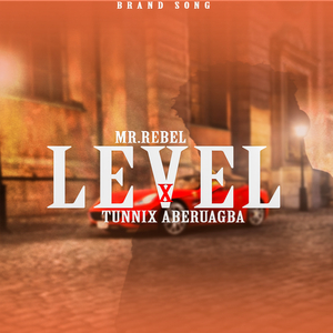 Level