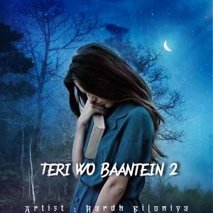 Teri Wo Baatein 2