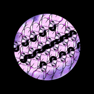 Aracnide (Original Mix)