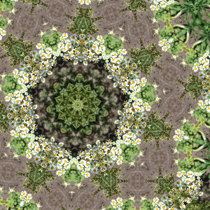 Dreamy ideas intermingled