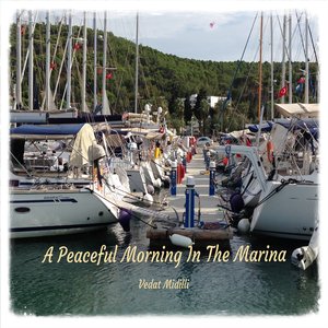 A Peaceful Morning In The Marina