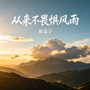 从来不畏惧风雨