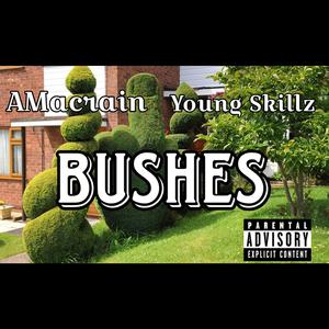 Bushes (Prod. Adrain McFadden) [feat. Young Skillz]