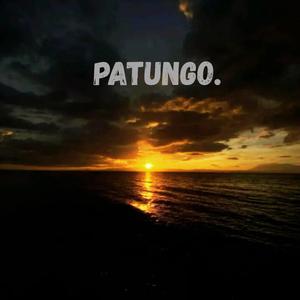 Patungo