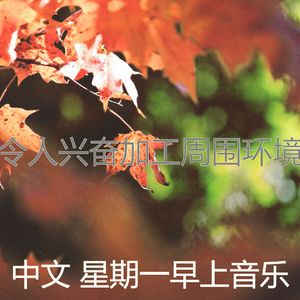 诗意的星期一节奏