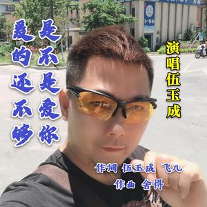 是不是爱你爱的还不够