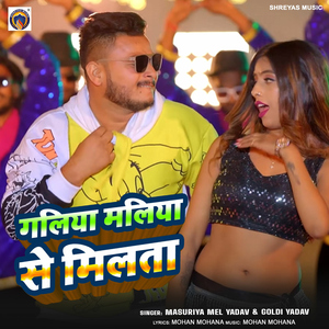 Galiya Maliya Se Milta