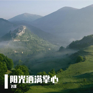 阳光洒满掌心