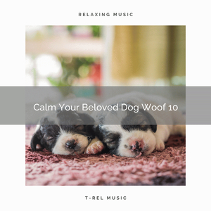 Calm Your Beloved Dog Woof 10