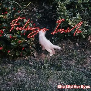 这个比较好上岸