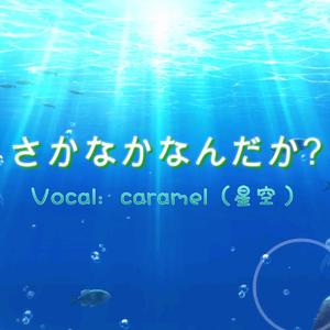 さかなかなんだか？（翻自 諏訪ななか）