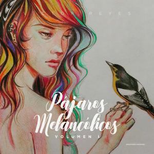 Melanerpes chrysogenys