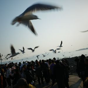 Breaking in Tranquility