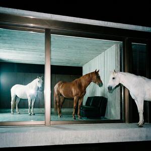 Paladín (feat. Ziad Addami & SDQST)