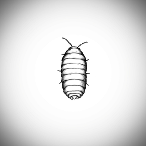 paradise for woodlice (feat. задохнуться в одуванчиках)