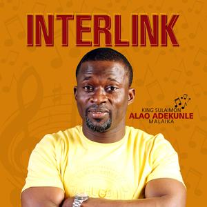 Interlink