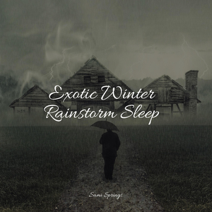 Rainy Woodland Ambience