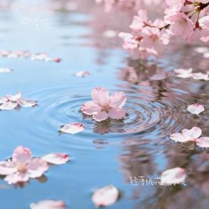 轻薄桃花逐水流