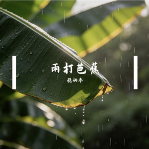 雨打芭蕉