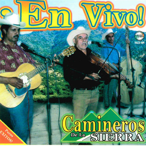 Guarecita (En Vivo)