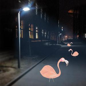 【Free】照亮火烈鸟回家的路 Boombap Type Beat