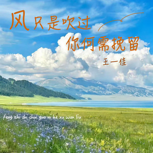 风只是吹过你何需挽留