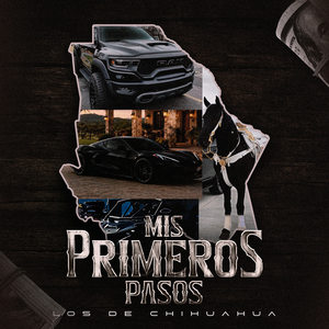Mis Primeros Pasos