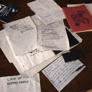 look up (report cards)