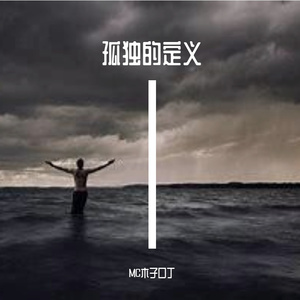 孤独也是一种习惯-整曲