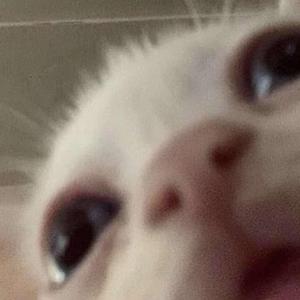 Banger (feat. Bonesey)