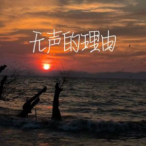 无声的理由 伴奏