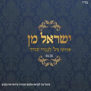שיויתי ה' לנגדי תמיד
