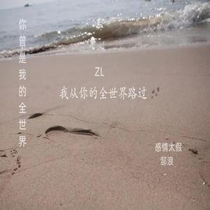 感情太假