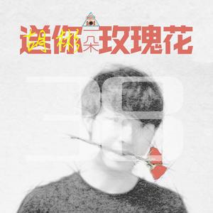 送你一朵玫瑰花