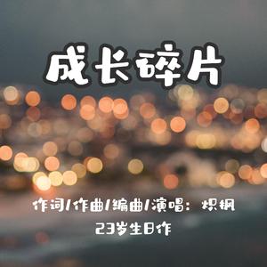 成长碎片