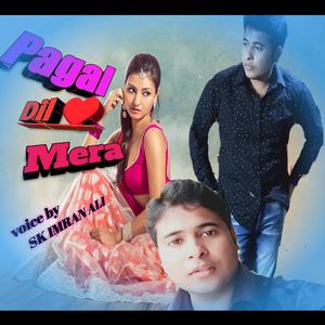 Pagal Dil Mera