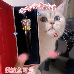 真实（cover 张惠妹）