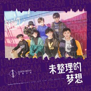 未整理的梦想