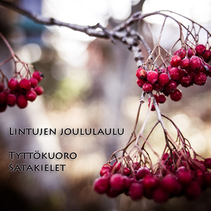 Joulurukous (Nyt käykäämme me lapsoset)