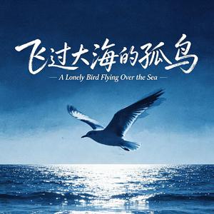 飞过大海的孤鸟