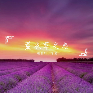 薰衣草之恋