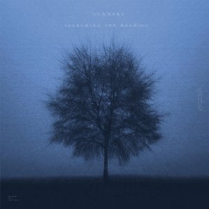 searching for meaning