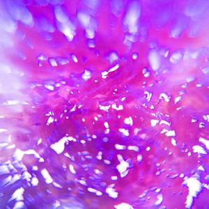 The fawn disorderly jump 小鹿乱跳