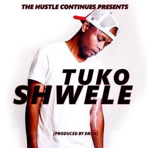 Shwele