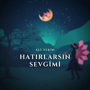 Hatırlarsın Sevgimi