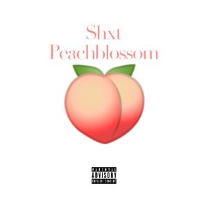 When I marry（Prod.Roccky）